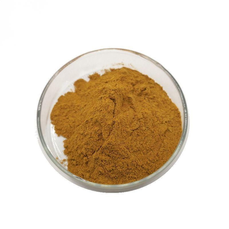 Astragalus Extract