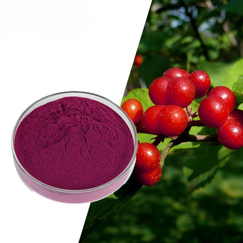 Bilberry Extract