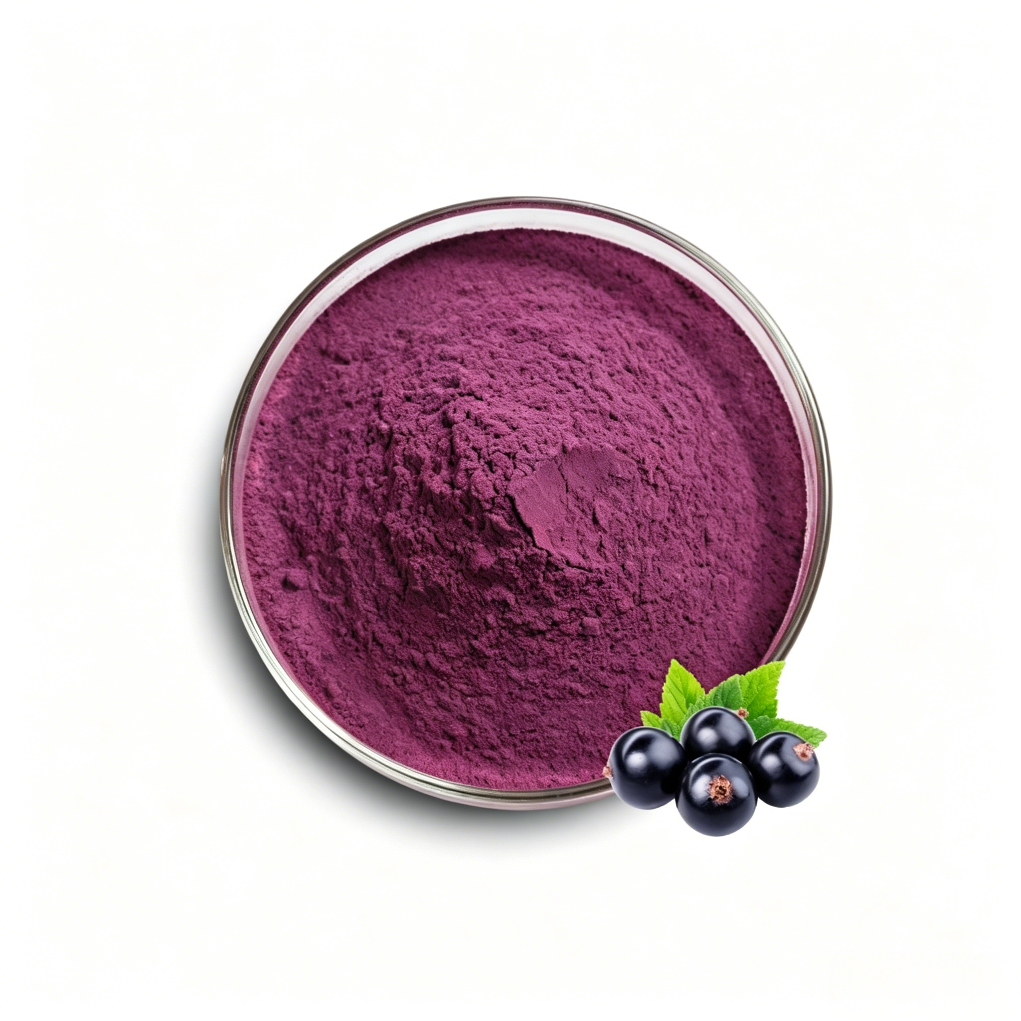 Black Currant Extract