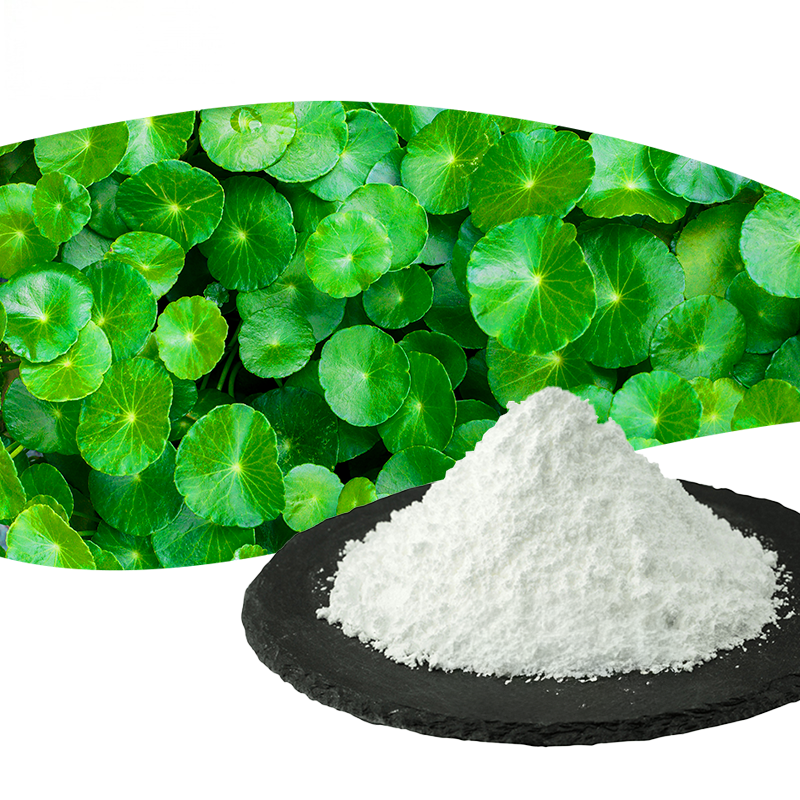 Centella Asiatica Extract