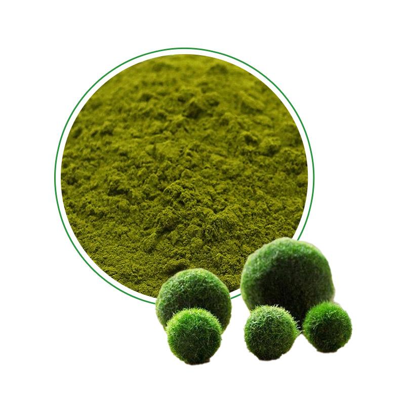 Chlorella Powder