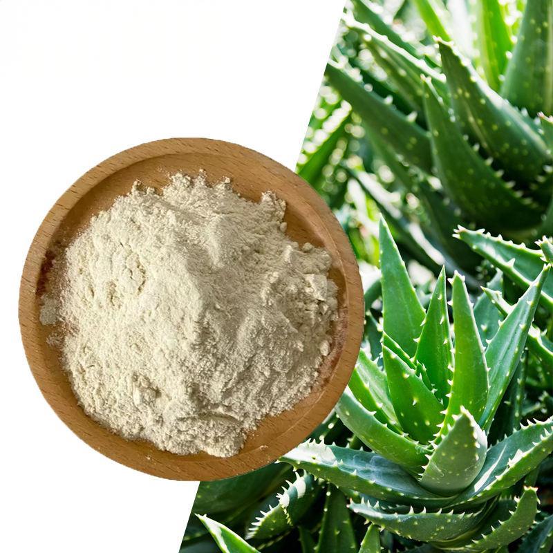 Aloe Vera Extract