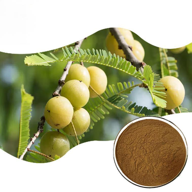 Phyllanthus Emblica Fruit Extract
