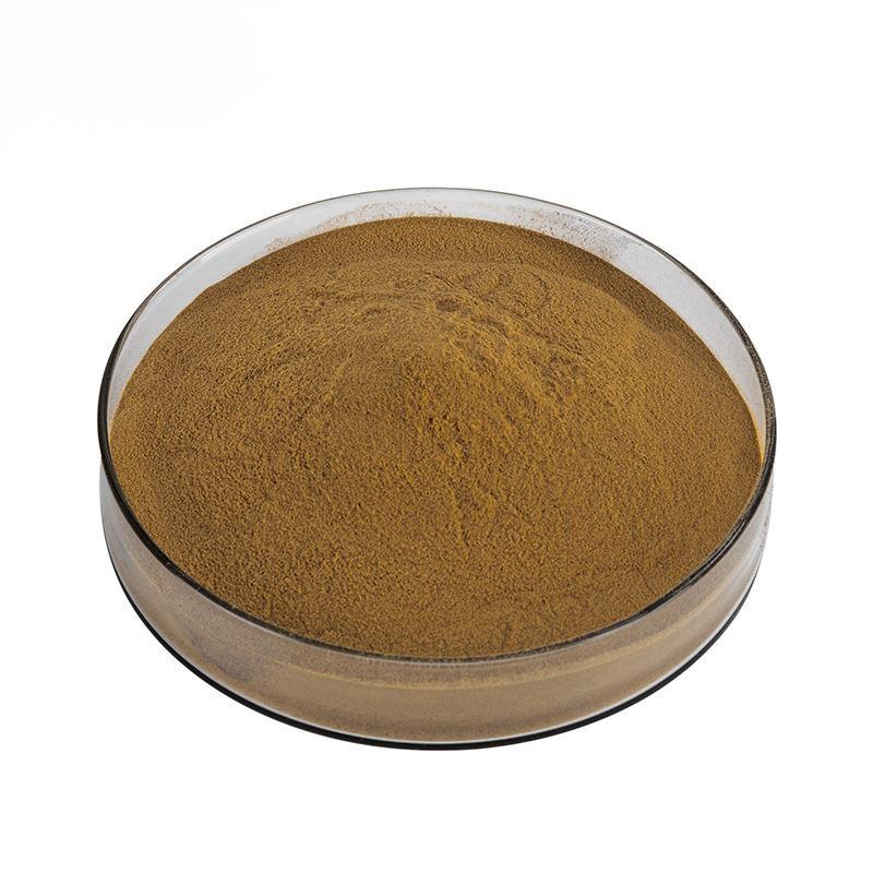 Witch Hazel Extract