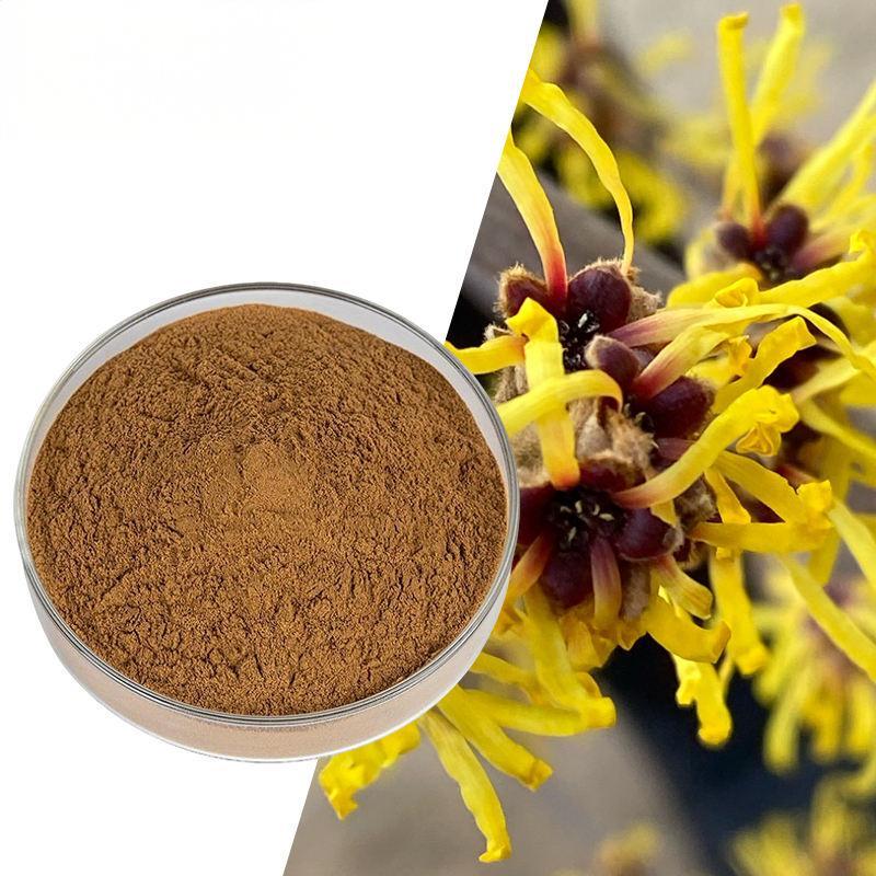 Witch Hazel Extract
