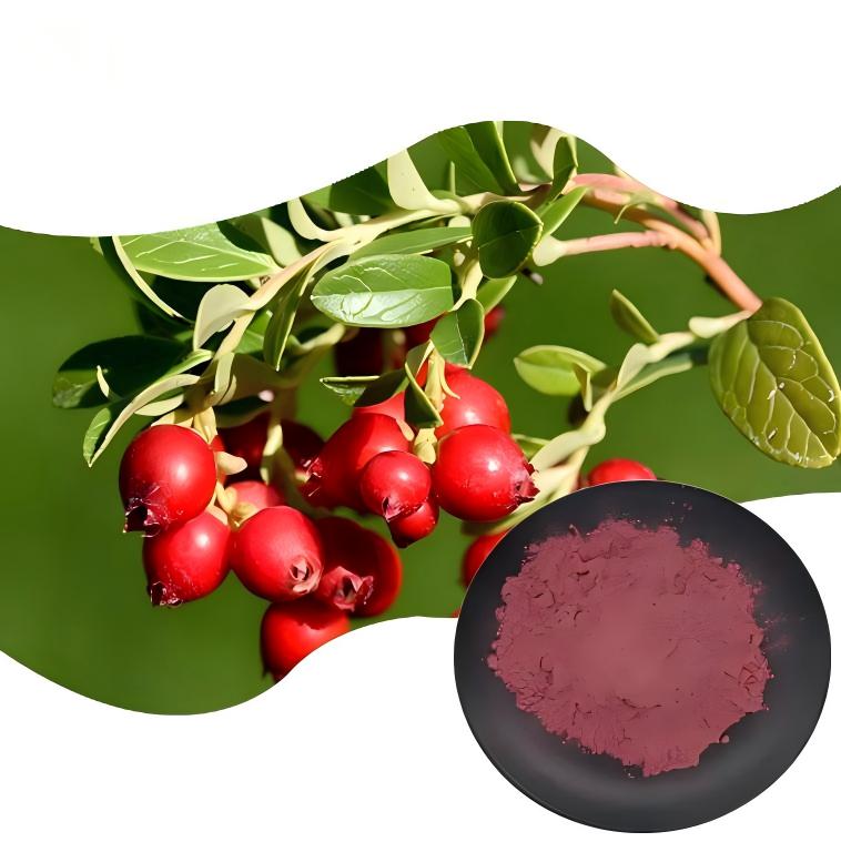 Cranberry Extract