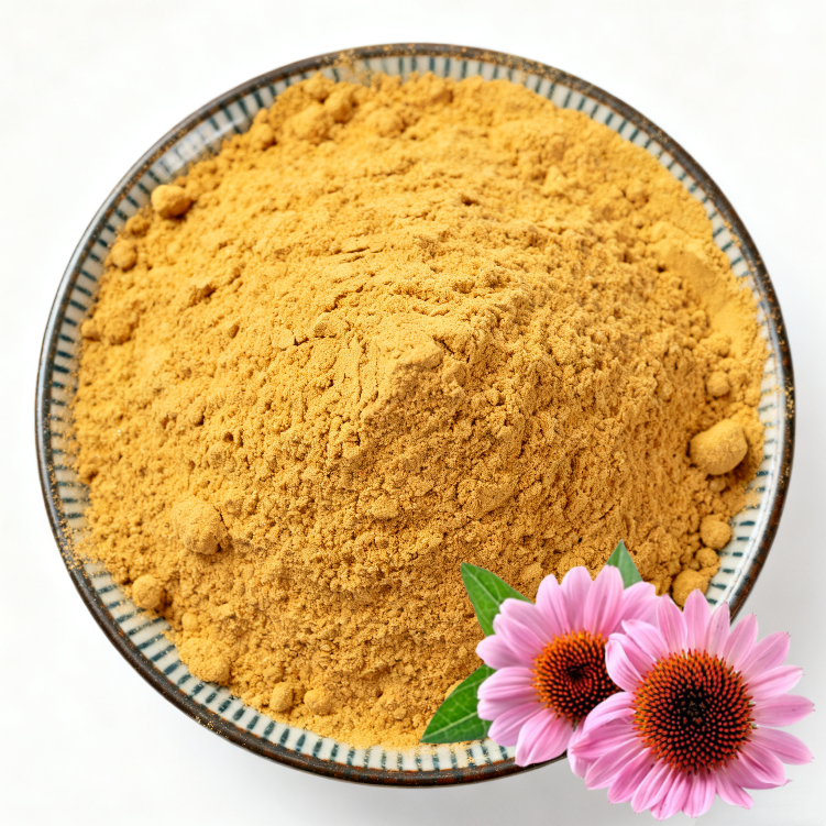 Echinacea Extract