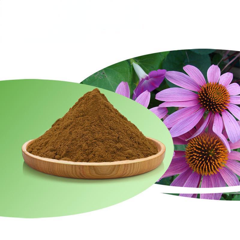 Echinacea Extract