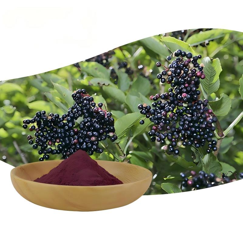 Elderberry Extract
