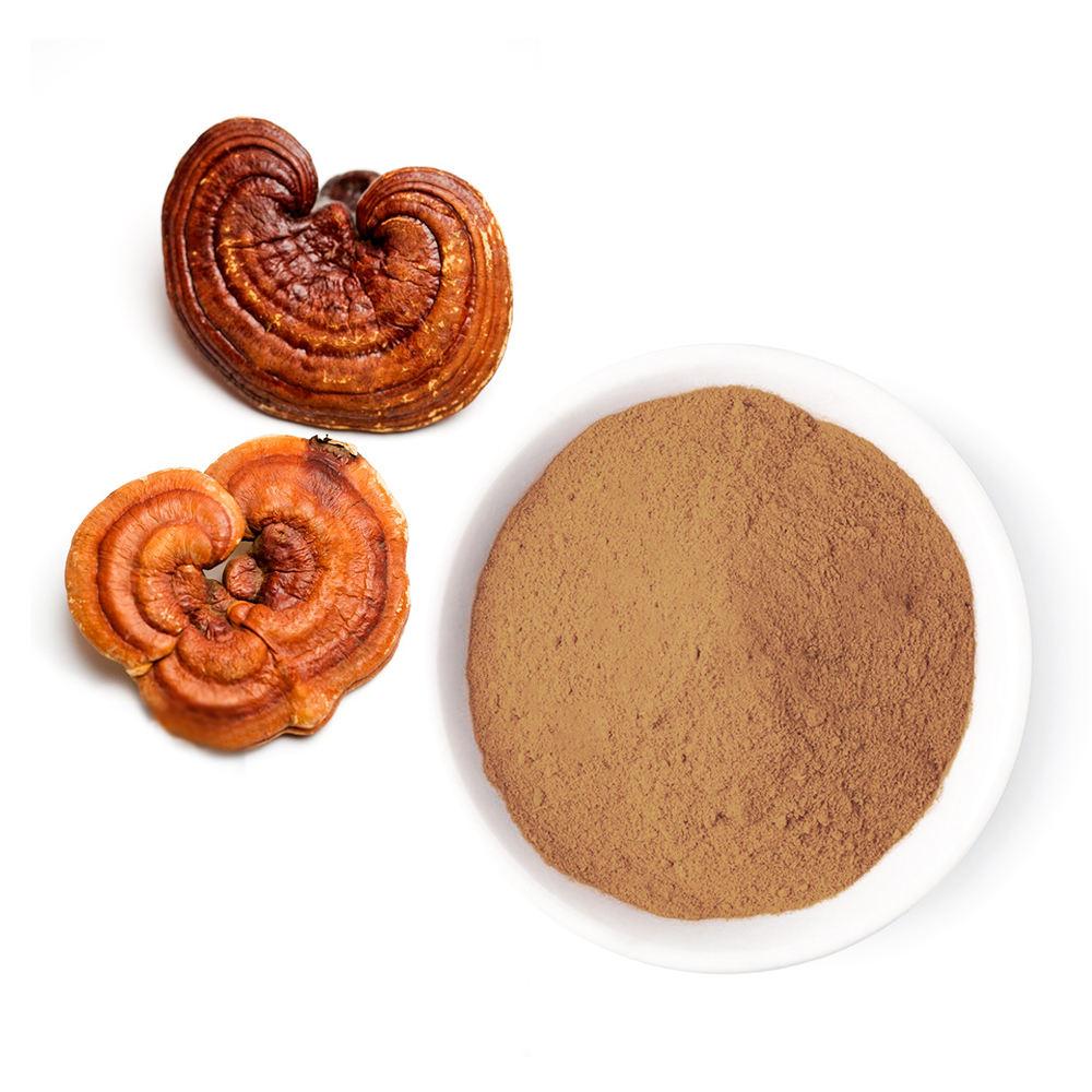 Ganoderma Lucidum Extract