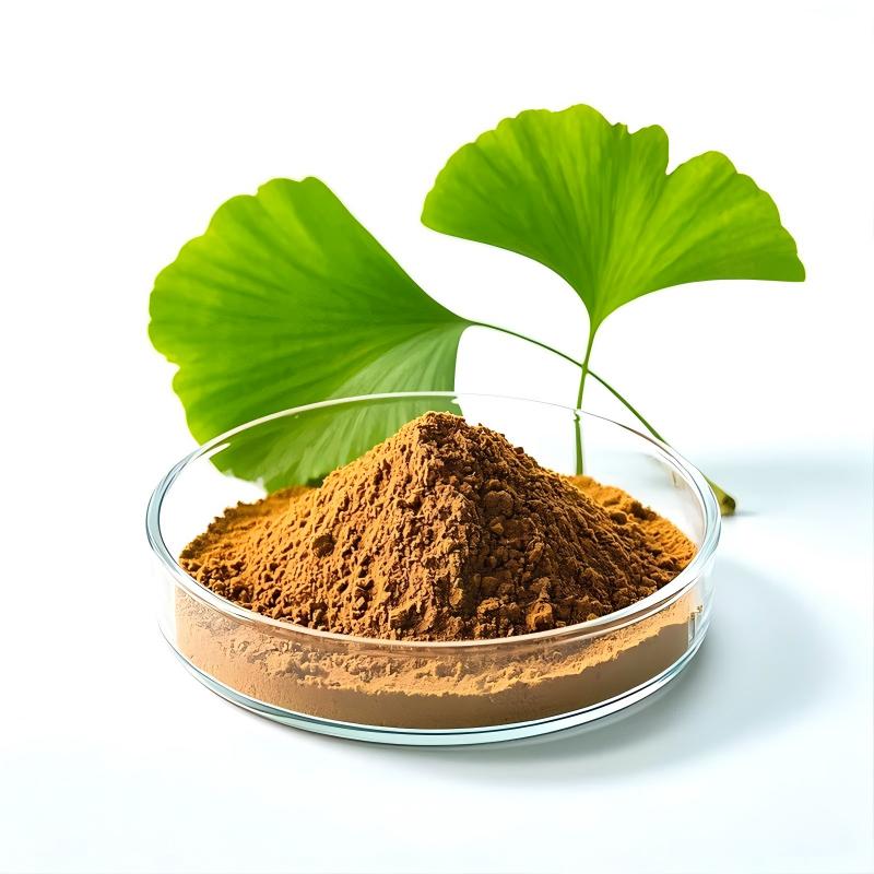 Ginkgo Biloba Extract