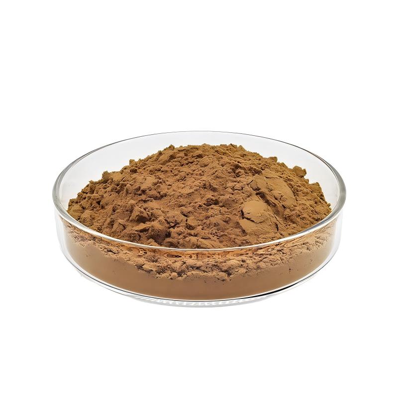 Ginkgo Biloba Extract