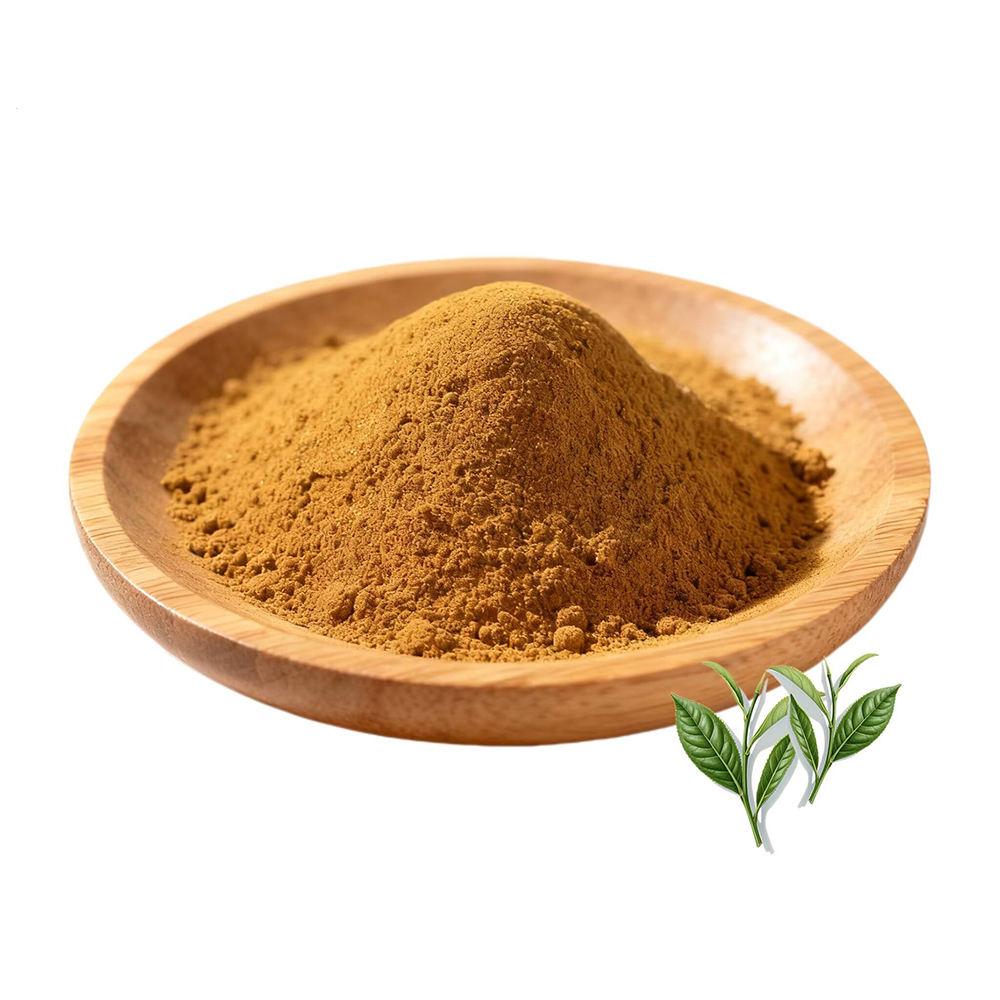 Green Tea Extract