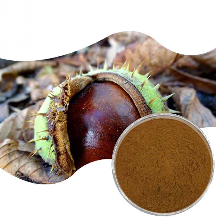 Horse Chestnut Extract