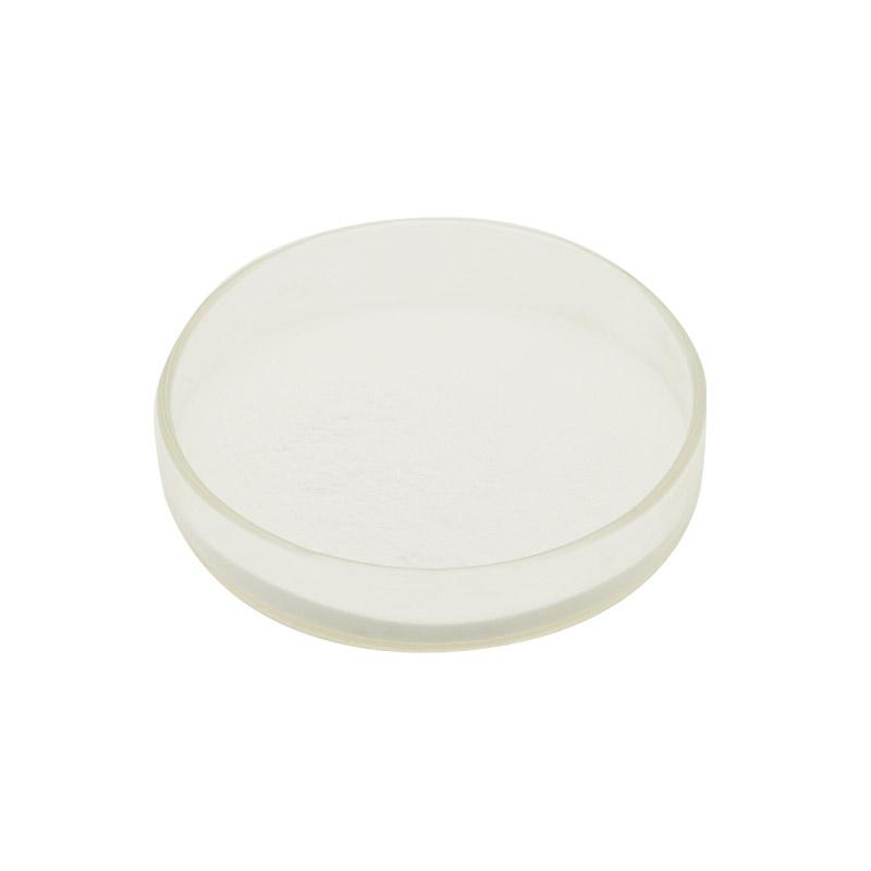 Lactobacillus Casei