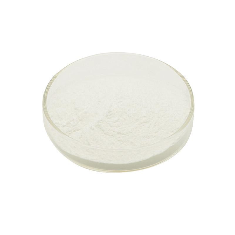 Lactobacillus Helveticus