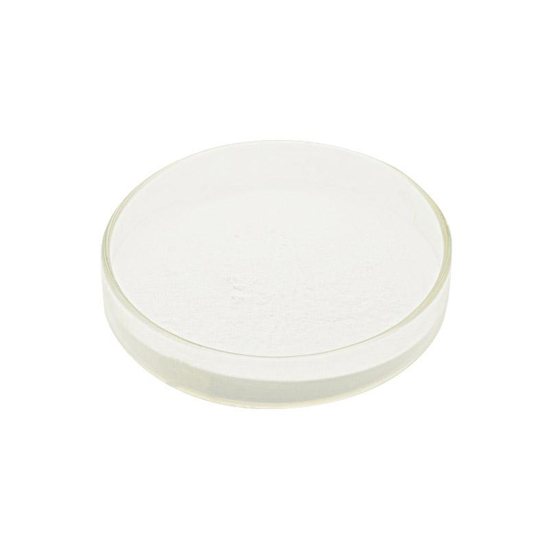 Lactobacillus Plantarum