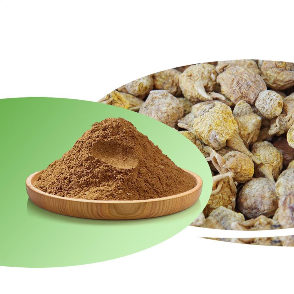 Maca Extract