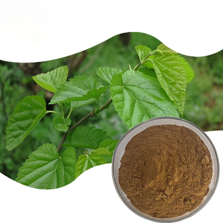 Mulberry Leaf Extract