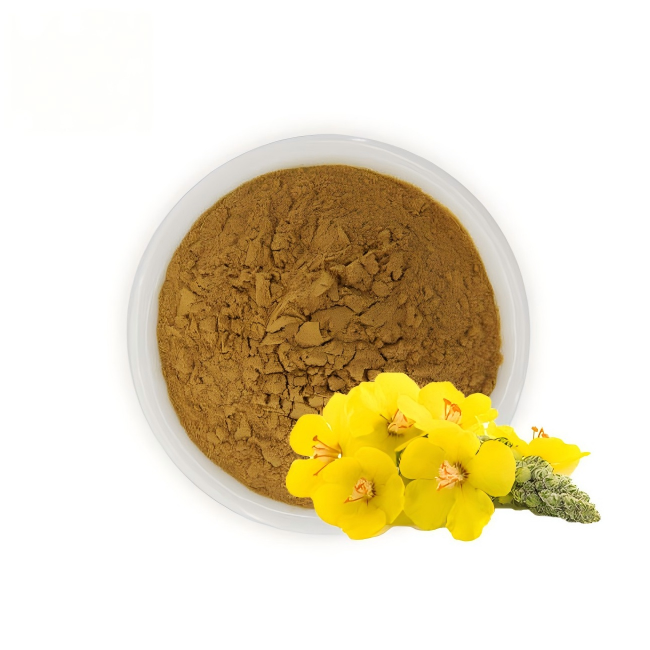 Mullein Leaf Extract