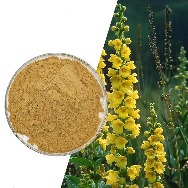 Mullein Leaf Extract