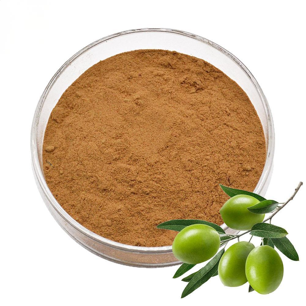 Olive Leaf Extract