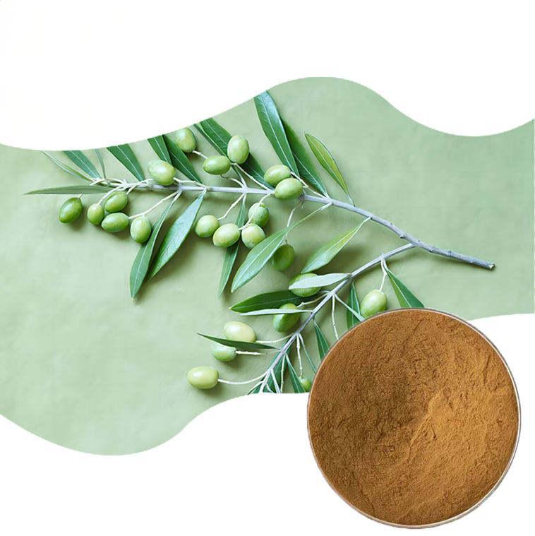 Olive Leaf Extract