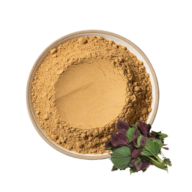 Perilla Extract