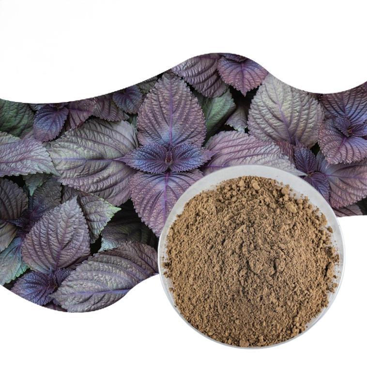 Perilla Extract
