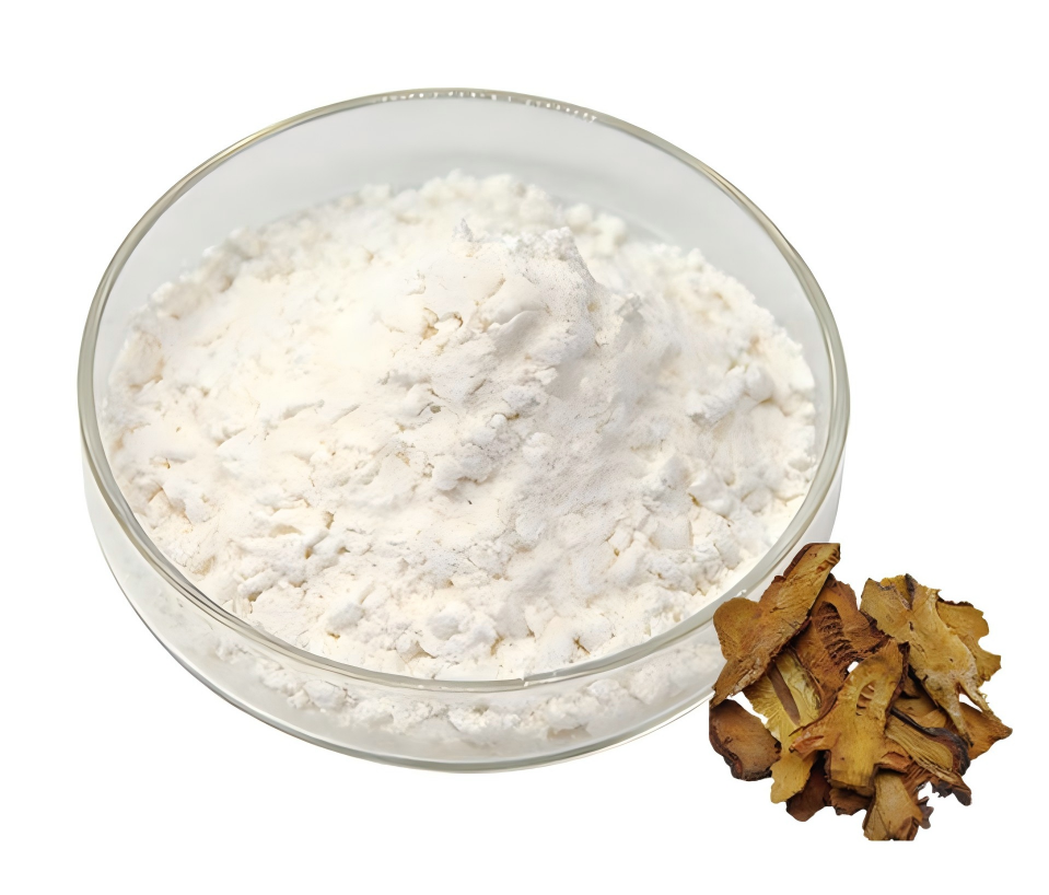 Polygonum Cuspidatum Extract