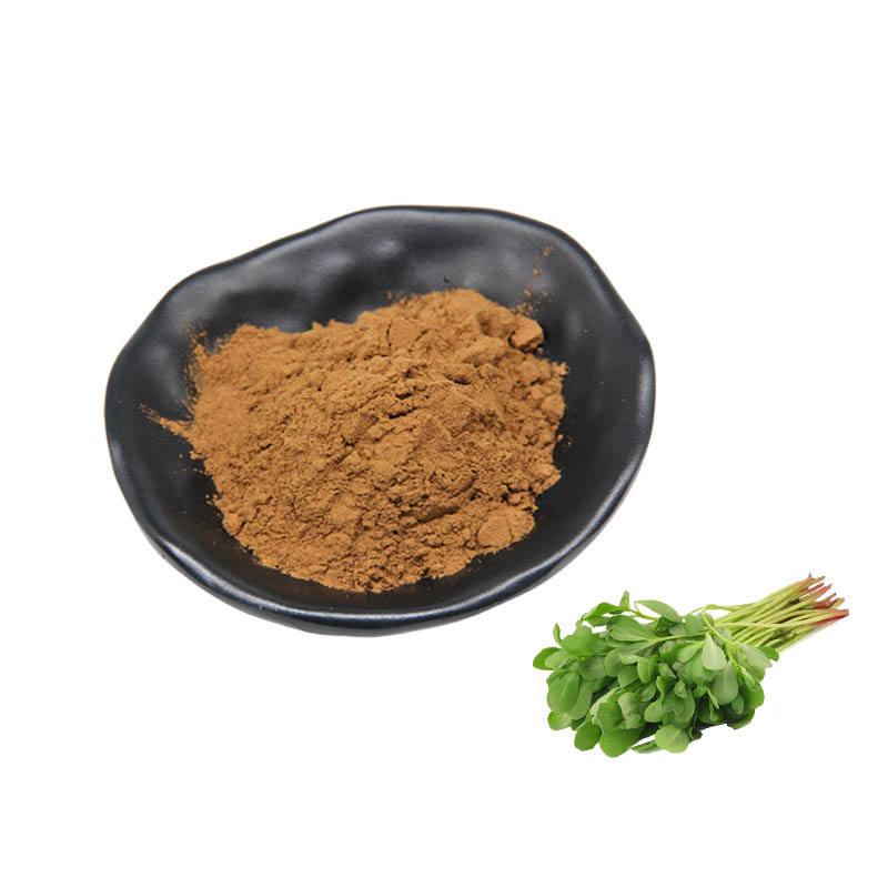 Purslane Extract