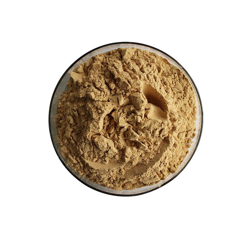 Purslane Extract