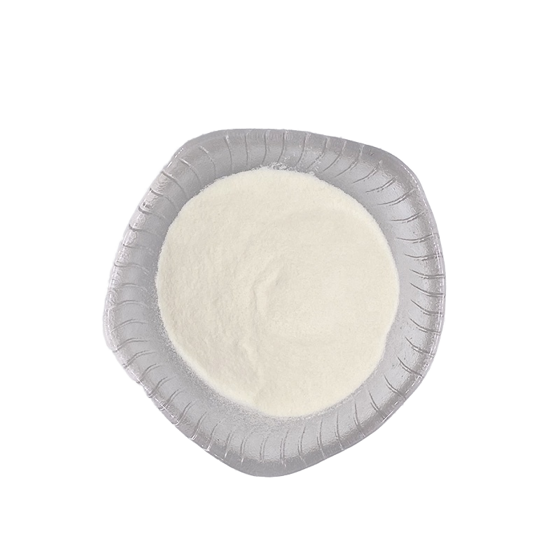 Rice Protein