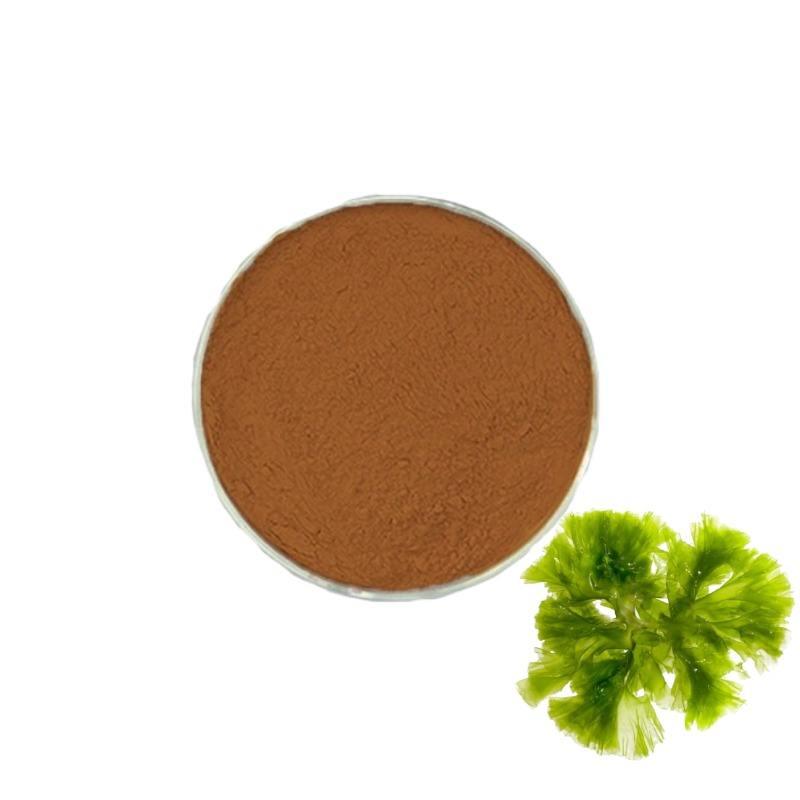 Seaweed Extract