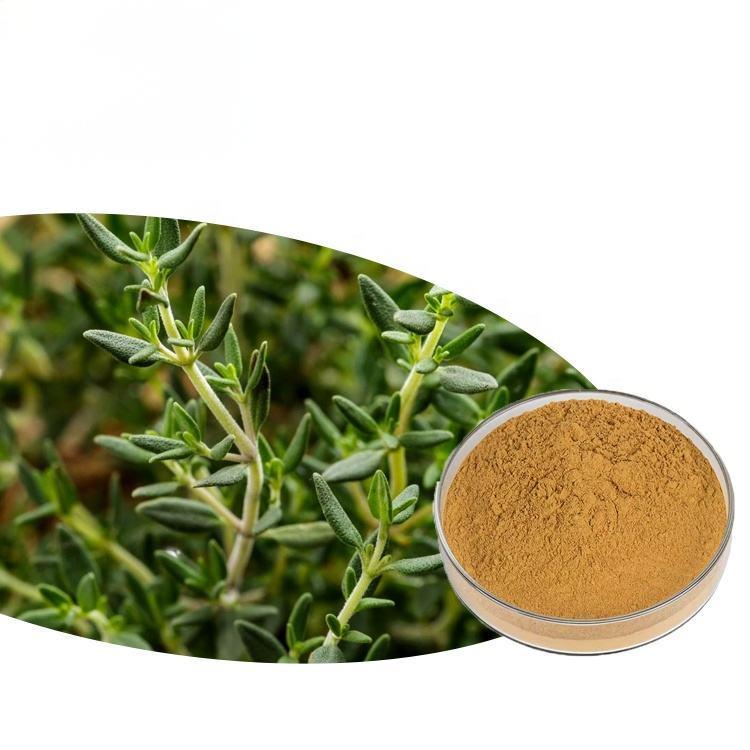 Thyme Extract