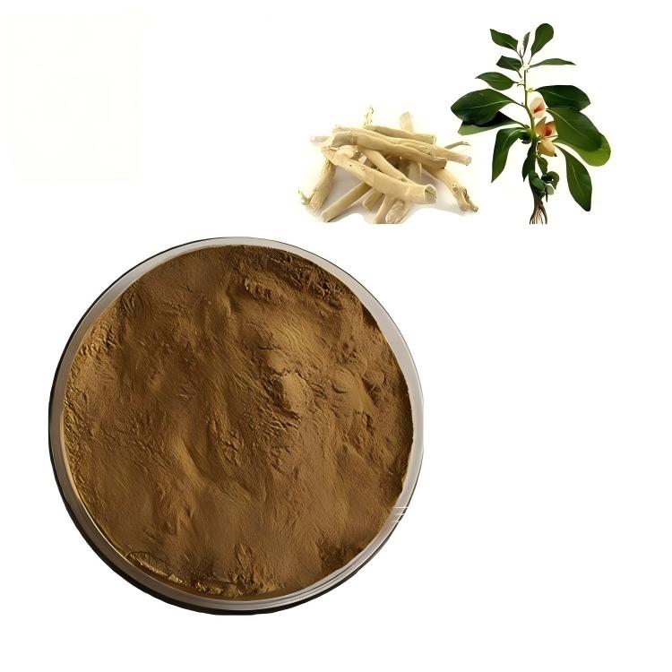 Withania Somnifera Extract