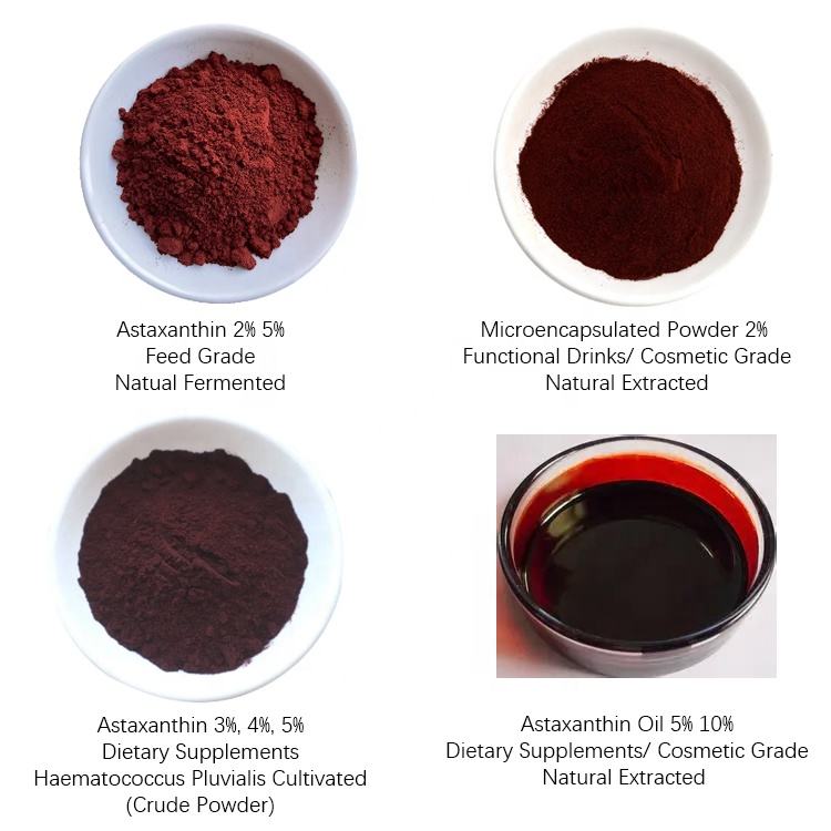 Astaxanthin | 2%-3% CWS & 10% Oleoresin Ingredient-Astaxanthin