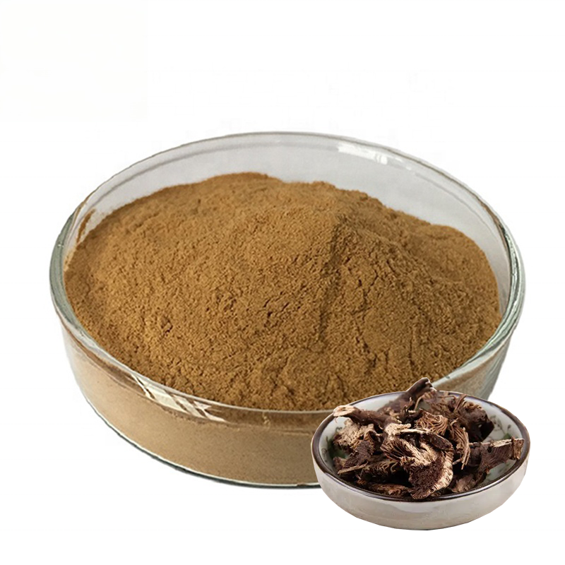 Dried Actaea racemosa black cohosh roots and black cohosh extract powder