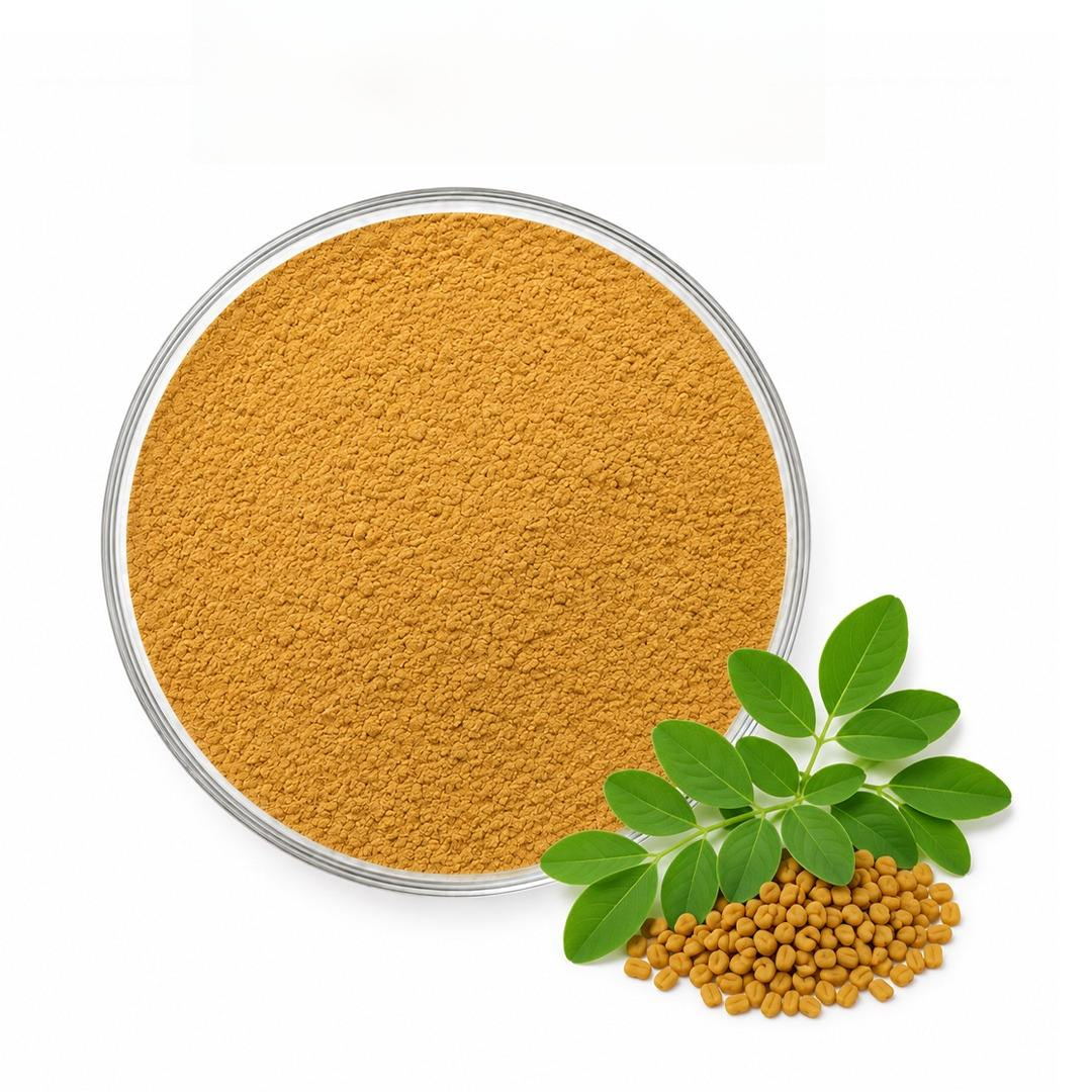 Fenugreek Extract | Furostanol Saponins 50%-Fenugreek Extract