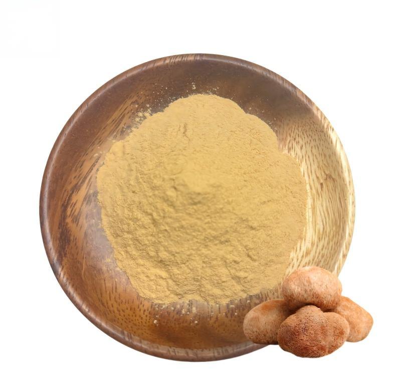Lion’s Mane Mushroom Extract | 30% Polysaccharides Ingredient-Lion’s Mane Extract