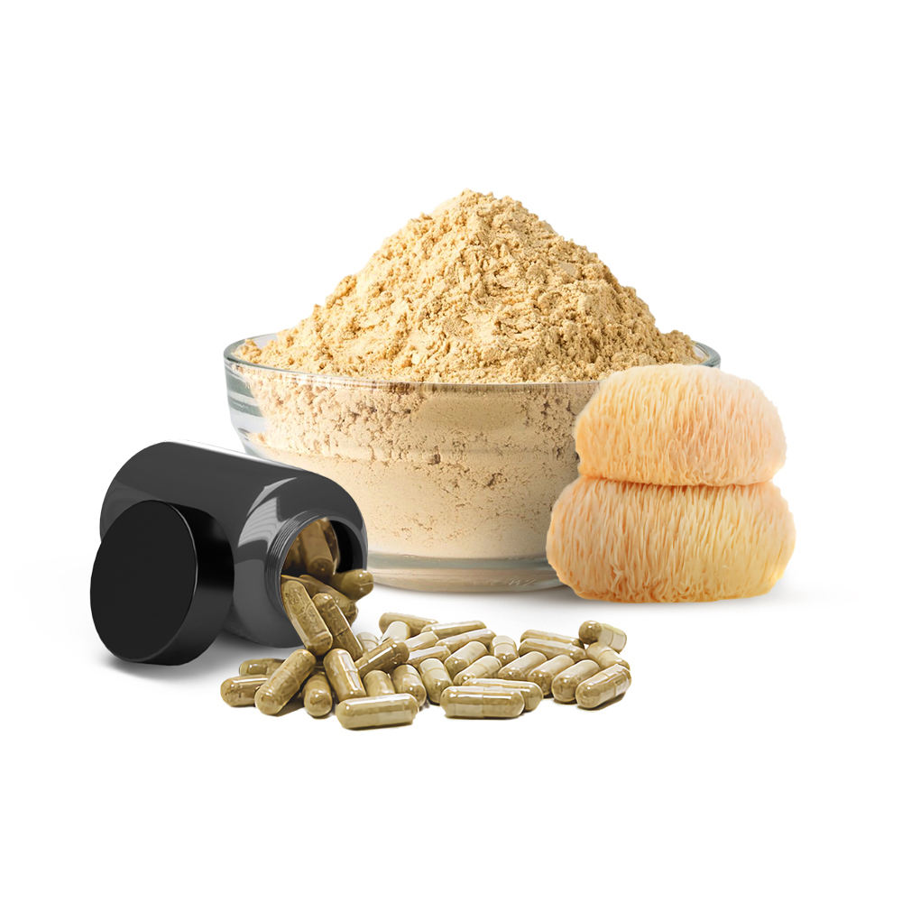 Lion’s Mane Mushroom Extract | 30% Polysaccharides Ingredient-Lion’s Mane Extract