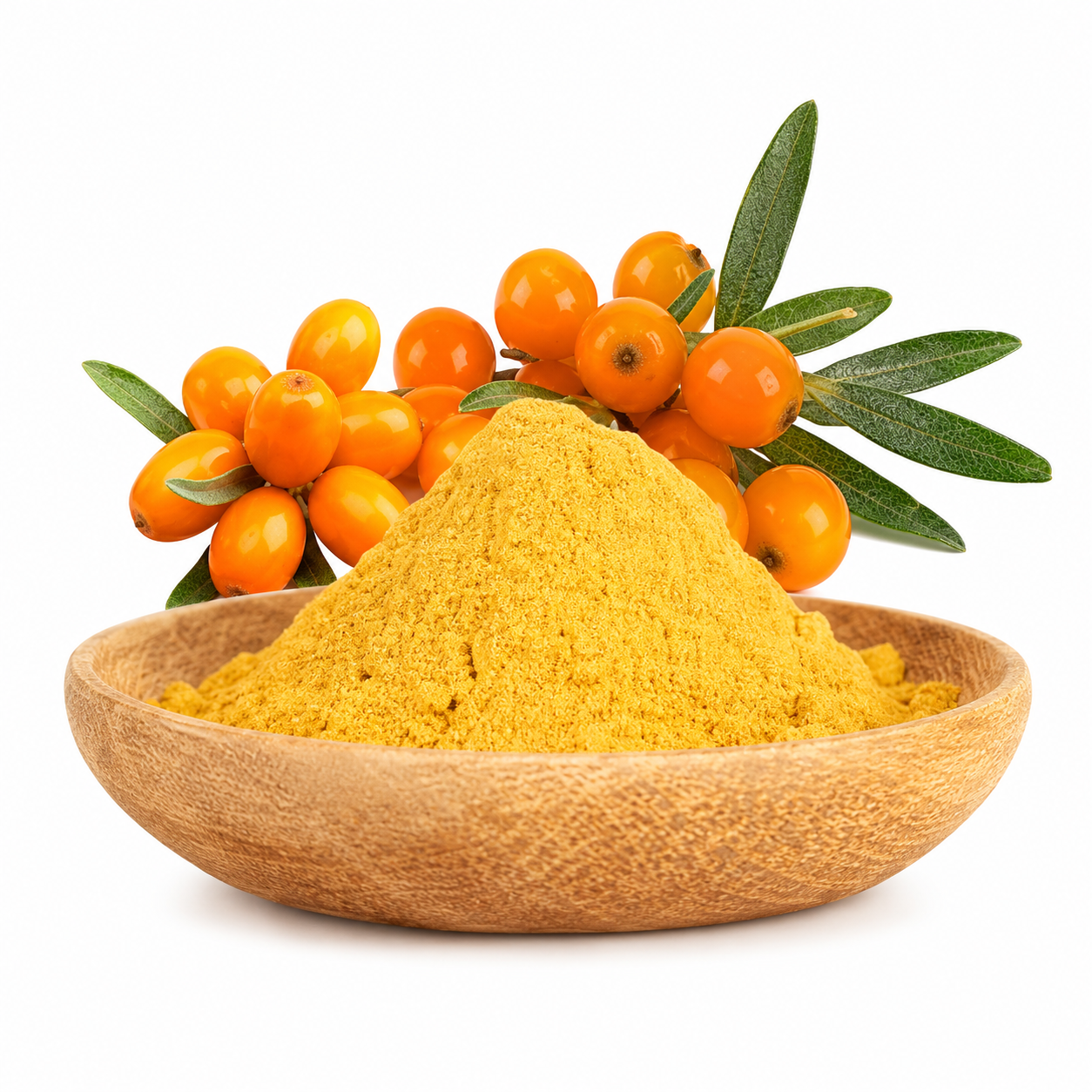 Sea Buckthorn Extract | 30% Flavonoids & Omega-7-Sea Buckthorn Extract